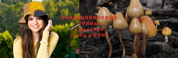 PSILOCYBIN Новозыбков