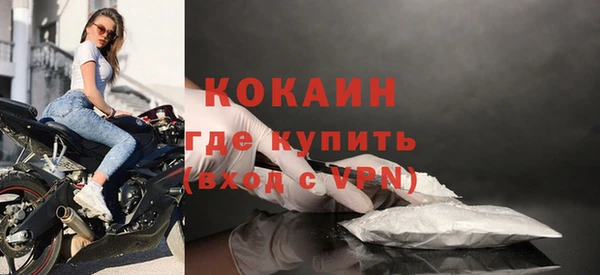 PSILOCYBIN Новозыбков