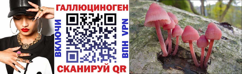 Галлюциногенные грибы ЛСД  где найти   Абдулино 